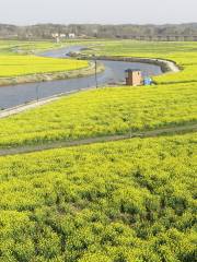 紫海田園