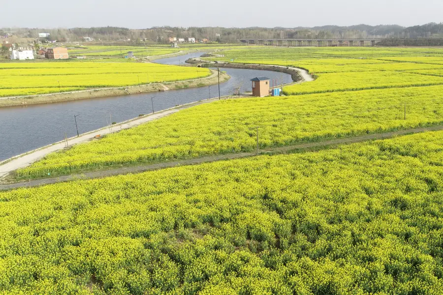 紫海田園