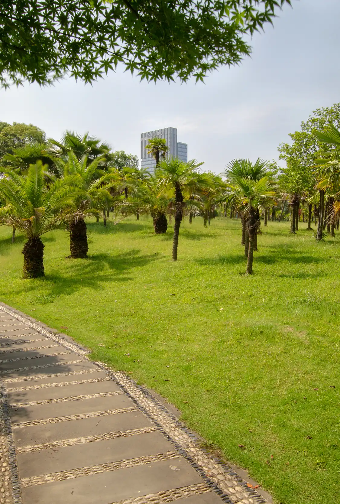 鄰近綉湖公園的酒店