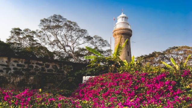 硇洲島+硇洲燈塔+海龜城+沙灘+漁港公園湛江版「布魯威一日遊」
