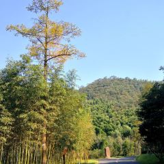 宜興竹海國際會議中心（竹海温泉）·中餐廳張用戶圖片