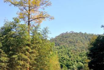 宜兴竹海国际会议中心(竹海温泉)·中餐厅 user photo