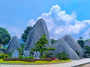 썬보라 관광 휴가 삼림