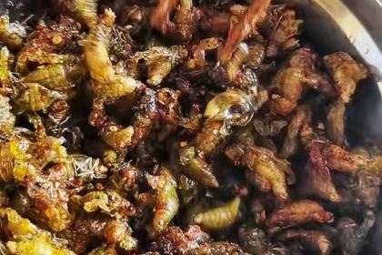 筷尚菜家常饭店