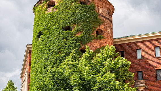 Riga