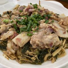 品鸽天下 User Photo