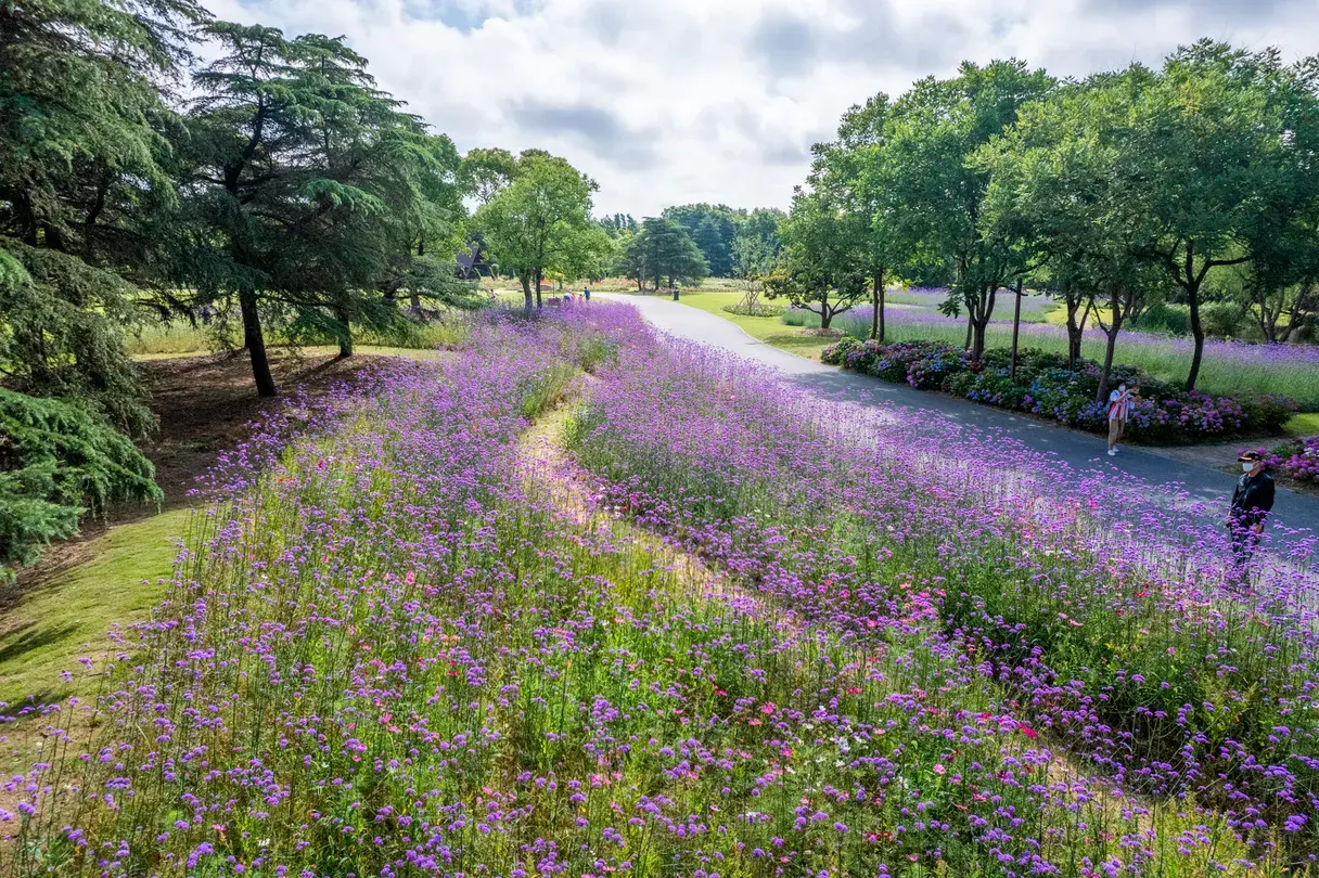 5_Binjiang Forest Park