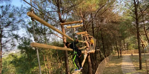 廣西叢林精靈探險樂園兒童魔網小童