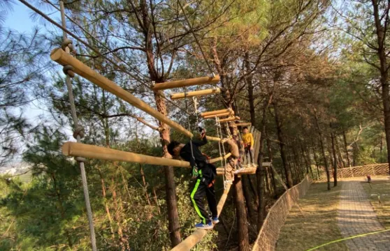 廣西叢林精靈探險樂園兒童魔網小童