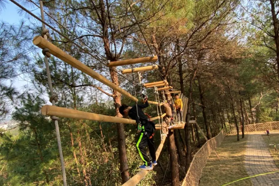 廣西叢林精靈探險樂園