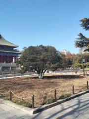 興慶宮公園遊樂場