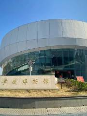 Xiaogan Museum