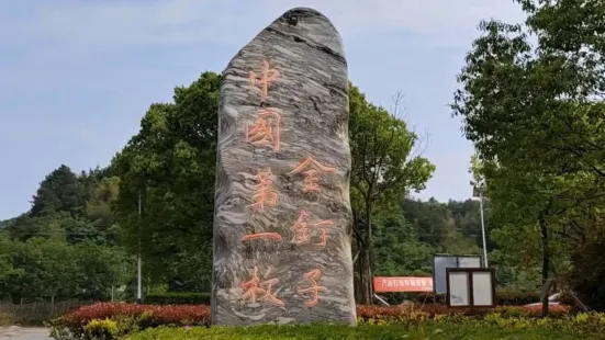 常山国家地質公園