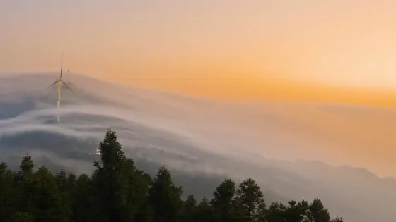 古台山國有林場