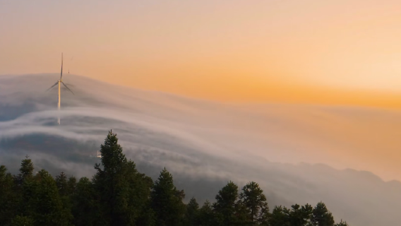 Gutai Mountain State-owned Forest