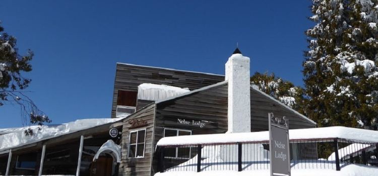 Nelse Lodge