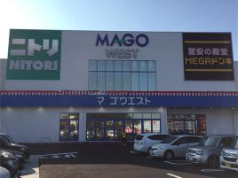 唐吉诃德（关Mago店）