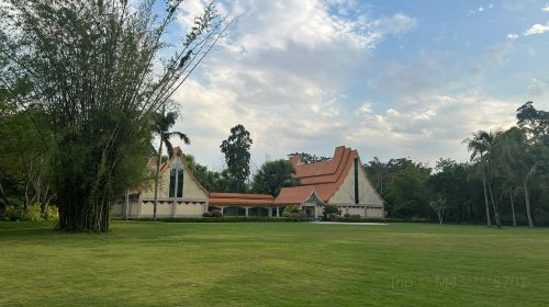 中國科學院西雙版納熱帶植物園-藤本園站