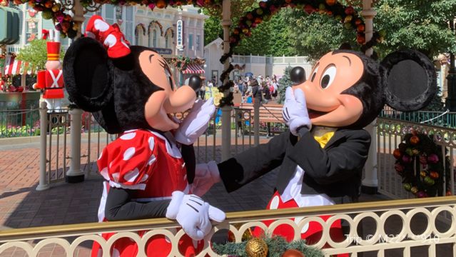 xiao zhen guang chang mi qi lao shu yu mi ni lao shu he ying di