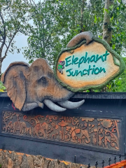 kumily tourist attractions Elephant camp, Thekkady