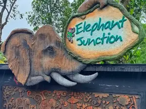 Elephant camp, Thekkady