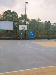 良慶力波籃球主題公園