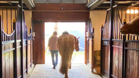 Thirty-Seven Degrees Equestrian