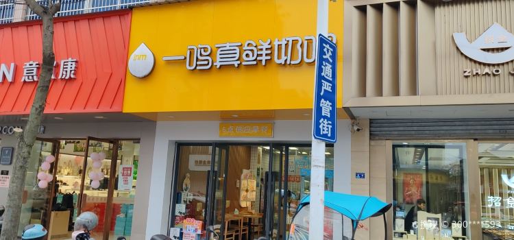 一鸣真鲜奶吧(松阳太平坊店)