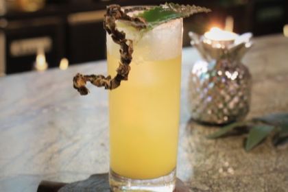 Jungle book by Alice