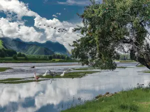 Inner Mongolia Ulanhot Taoer River National Wetland Park