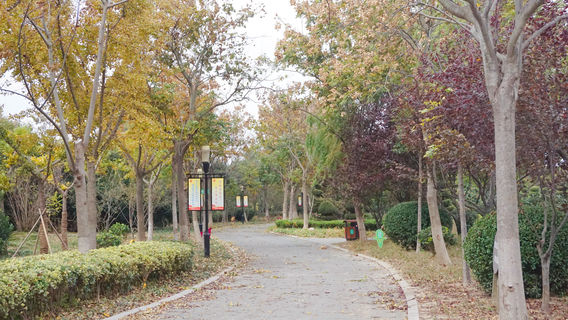 Hou Yi Park (North Gate)