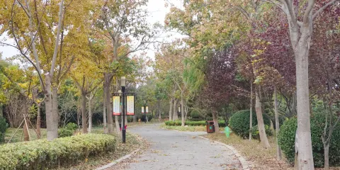 后羿公園
