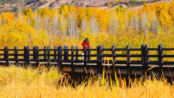 Sichuanlugu Lake Scenic Area