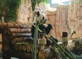 泉州海絲野生動物世界