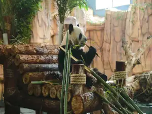 Quanzhou Wildlife Zoo