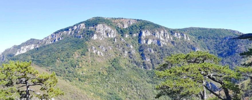 National Park Domogled