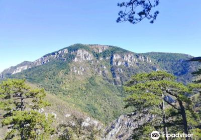National Park Domogled