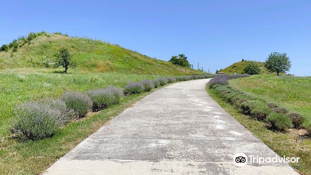 Thracian Tomb of Sveshtari