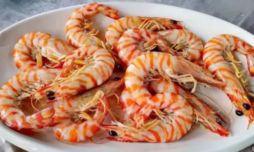 CHE LU SHI HAI XIAN CAN TING