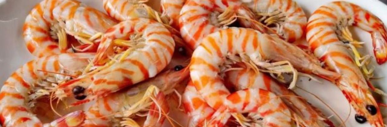 CHE LU SHI HAI XIAN CAN TING