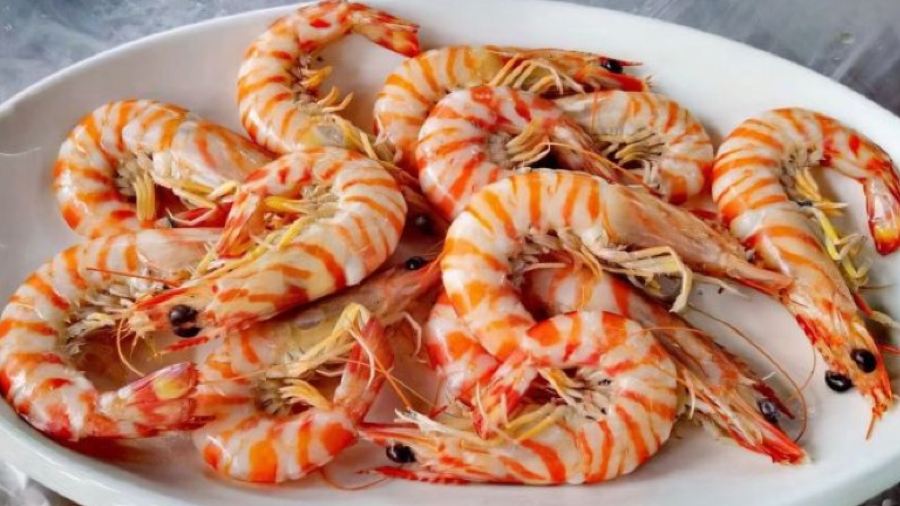 CHE LU SHI HAI XIAN CAN TING