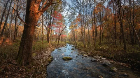 Yabuli Hufengling Scenic Area attraction in Харбин