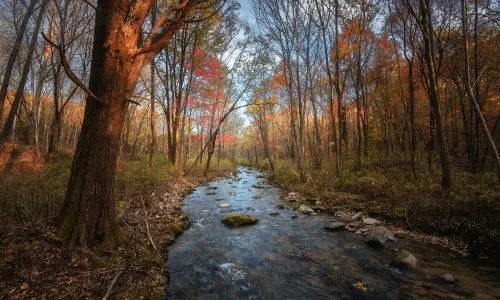 Yabuli Hufengling Scenic Area