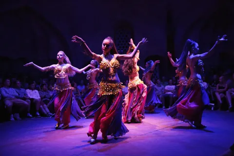 Belly Dance Shows in Türkiye
