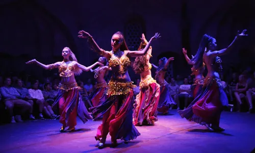 Belly Dance Shows in Türkiye