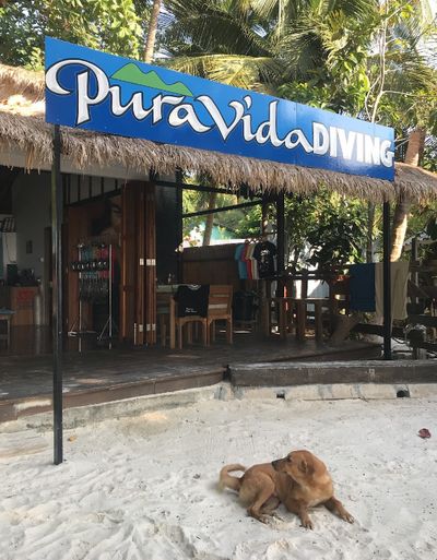 Pura Vida Diving Koh Lipe Dive Center