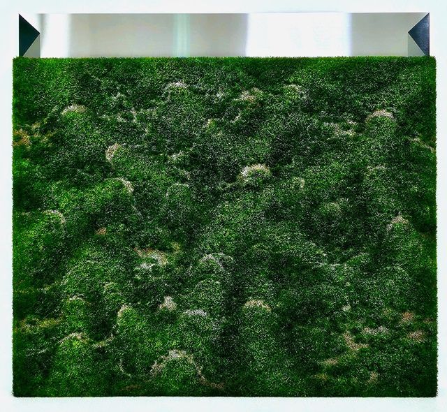 【韓國首爾】《Hai Yun Jung：If peace could be bought》展覽 | Whitestone Gallery Seoul