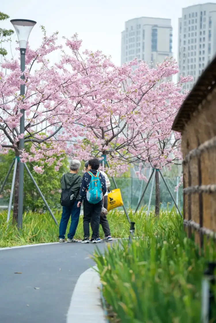 Top 50 Spring Outings in Shanghai