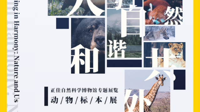 《 ren yu zi ran   he xie gong chu 》 dong wu biao ben zhan