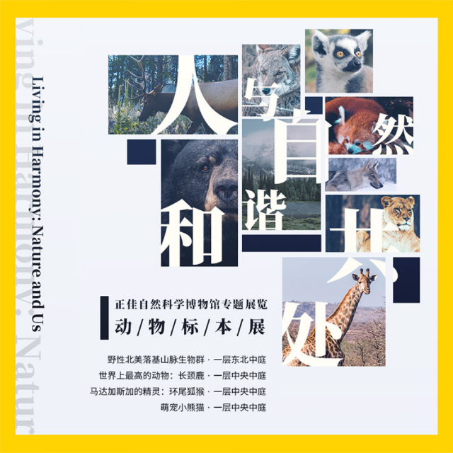 《人與自然 和諧共處》動物標本展 | 正佳自然科學博物館